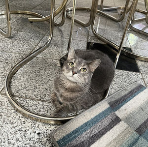 Meet your Posher, Crystal